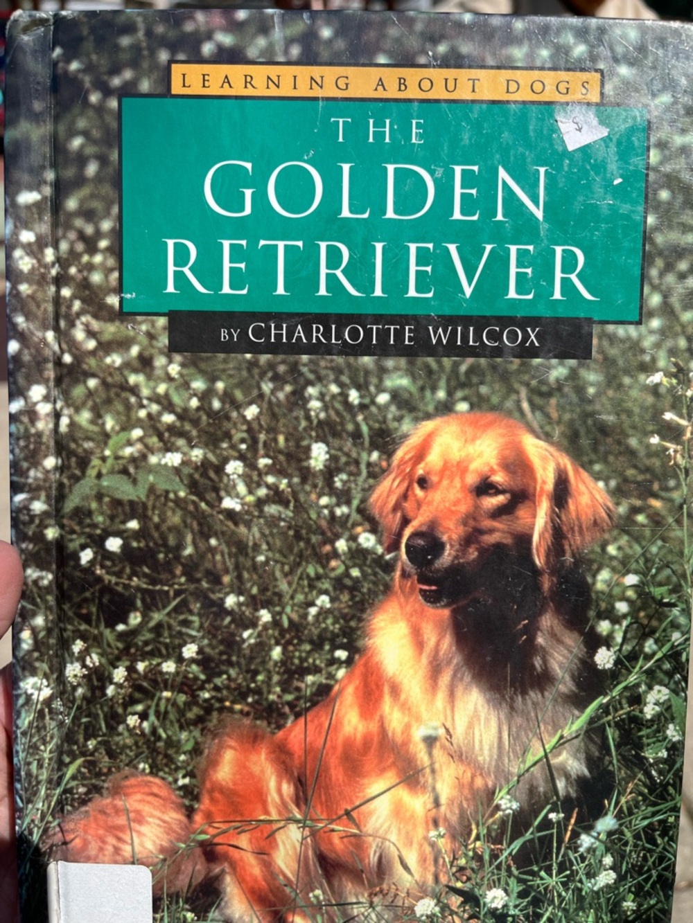 The Golden Retriever Book - Green & Golden